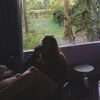 taylorose24